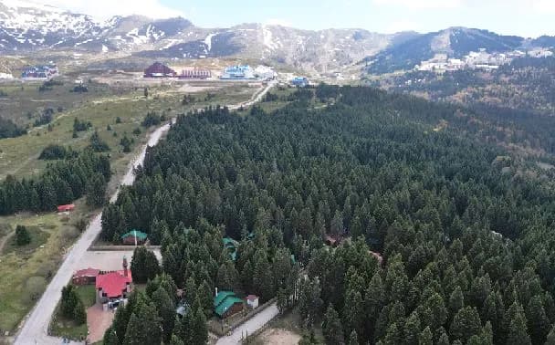 Karinna Orman Köşkleri