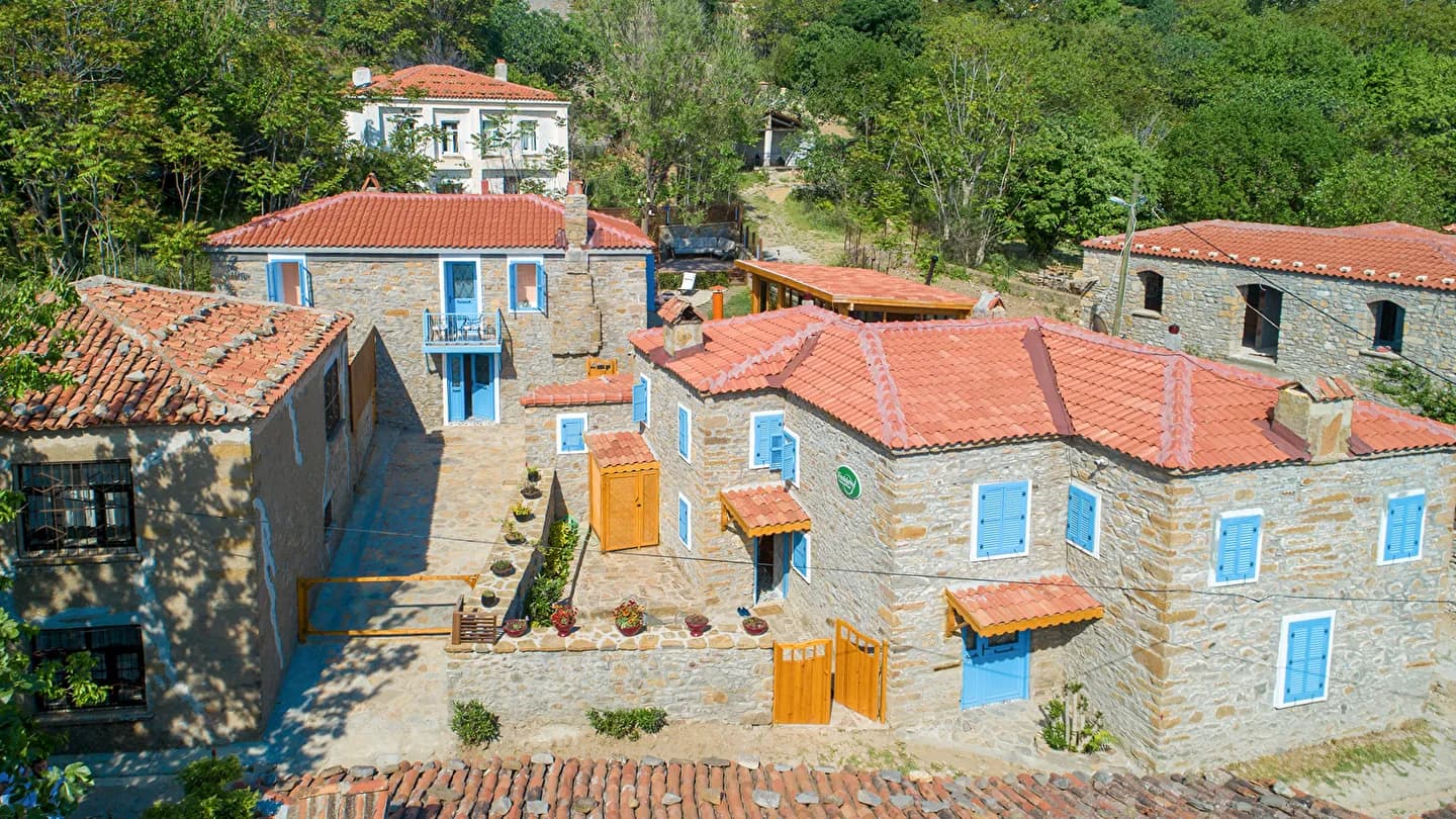 Feride Fonksiyonel Yaşam