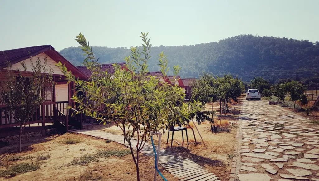 Fesleğenbükü Kamp